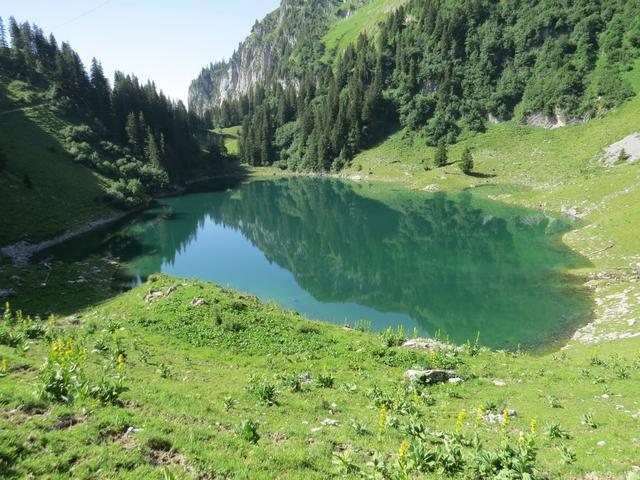 der Wanderweg führt rechts um den Walopsee herum