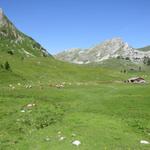 Blick auf die Walop Alp