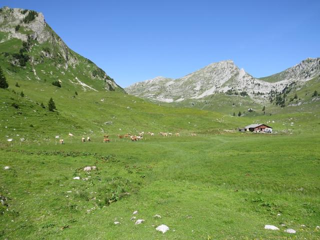 Blick auf die Walop Alp