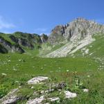 querfeldein wollen wir wieder auf den Wanderweg gelangen der uns zu Punkt 1790 m.ü.M. bringen wird