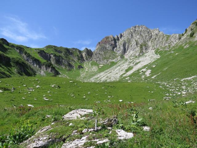 querfeldein wollen wir wieder auf den Wanderweg gelangen der uns zu Punkt 1790 m.ü.M. bringen wird