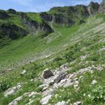 weglos wandern wir nun aufwärts in die Mulde vom Rotenchaste