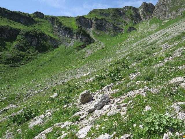 weglos wandern wir nun aufwärts in die Mulde vom Rotenchaste