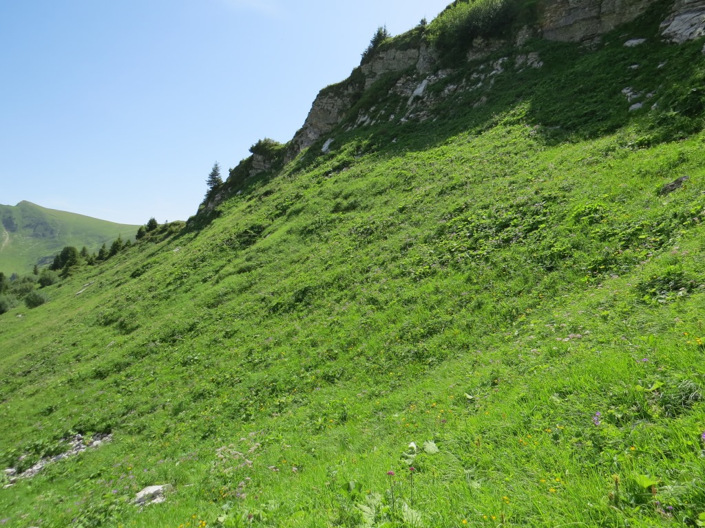 weglos zu wandern ist immer sehr mühsam und anspruchsvoll