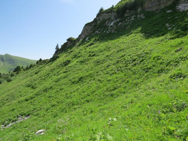 weglos zu wandern ist immer sehr mühsam und anspruchsvoll