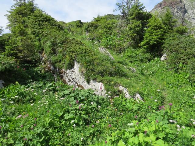 bei Punkt 1790 m.ü.M. biegen wir wieder in den normalen Wanderweg ein