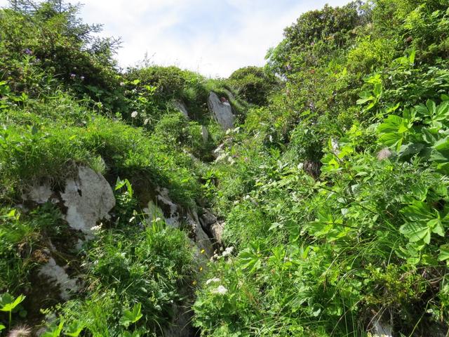 auf dem normalen Wanderweg geht es nun einfacher Richtung Underi Luchere