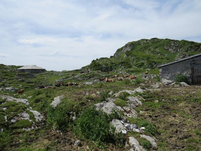 bei den Alphütten auf Gaasche 1967 m.ü.M.