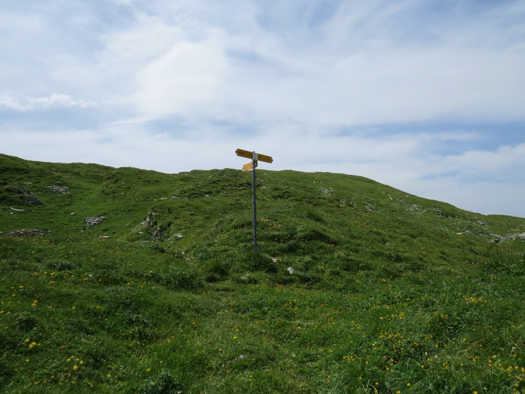 Wegweiser bei Punkt 1994 m.ü.M.