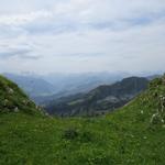 auf der Alp Oberi Luchere