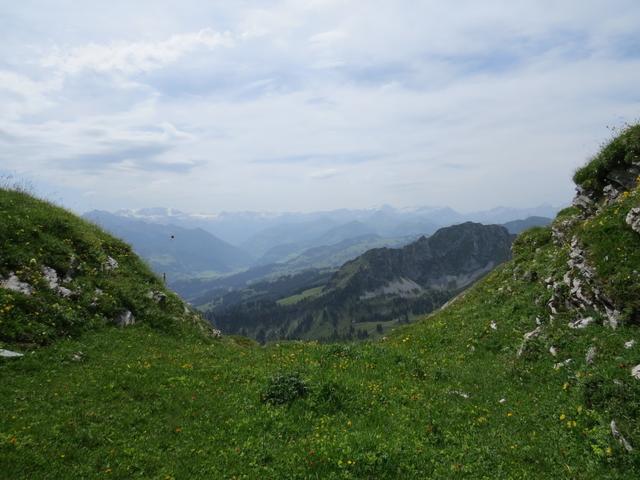 auf der Alp Oberi Luchere