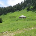 bei der Alphütte von Rieneschli