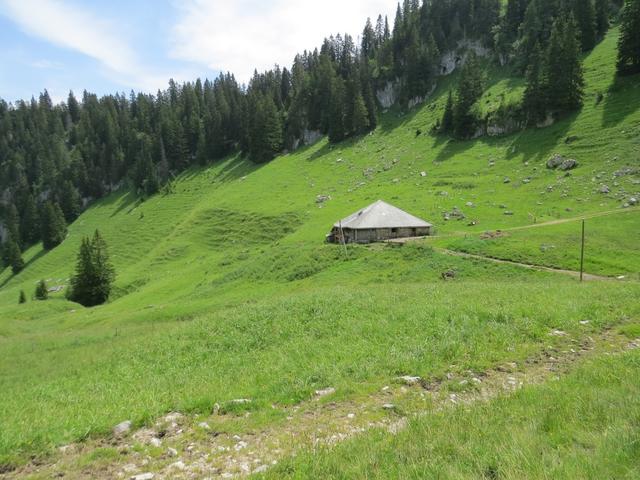 bei der Alphütte von Rieneschli