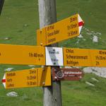 Wegweiser auf Rieneschli 1566 m.ü.M. unsere Wanderung führt uns von hier aus zurück nach Chlus