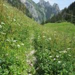 über schöne Blumenwiesen endet unsere heutige Wanderung