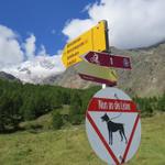 Wegweiser bei der grünen Ebene "Hinter den Zäunen" am Dorfausgang von Saas Fee