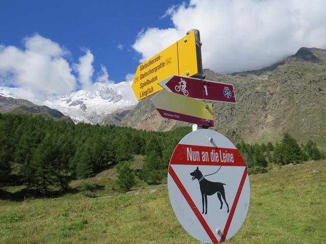 Wegweiser bei der grünen Ebene "Hinter den Zäunen" am Dorfausgang von Saas Fee