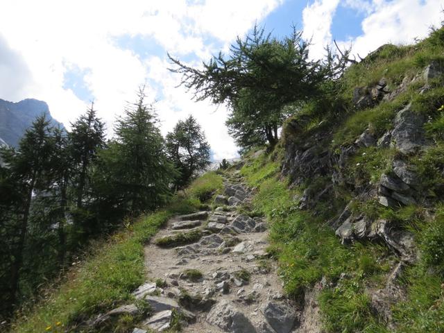 steil aber auf einem einfachen Wanderweg geht es nun über die Gletscheralp Richtung Spielboden