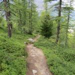 was für ein Kontrast auf dieser Wanderung. Zu Beginn Eis und Geröll. Am Ende ein Lärchenwald in voller Pracht