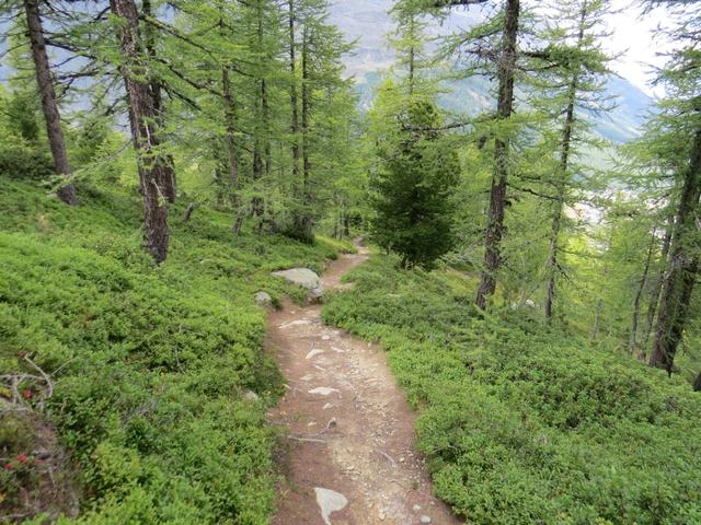 was für ein Kontrast auf dieser Wanderung. Zu Beginn Eis und Geröll. Am Ende ein Lärchenwald in voller Pracht