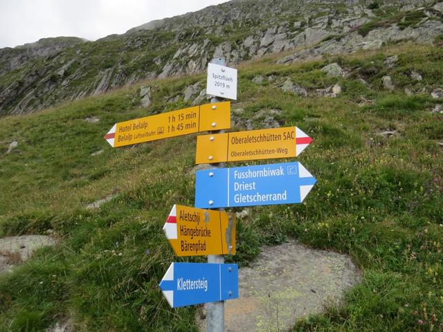 kurze zeit später erreichen wir die nächste Weggabelung bei Spitzflüeh 2019 m.ü.M. Wir wandern weiter geradeaus