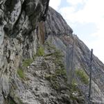 dem Fels abgerungen ist der komfortable Pfad, auf dem man die Klamm passiert