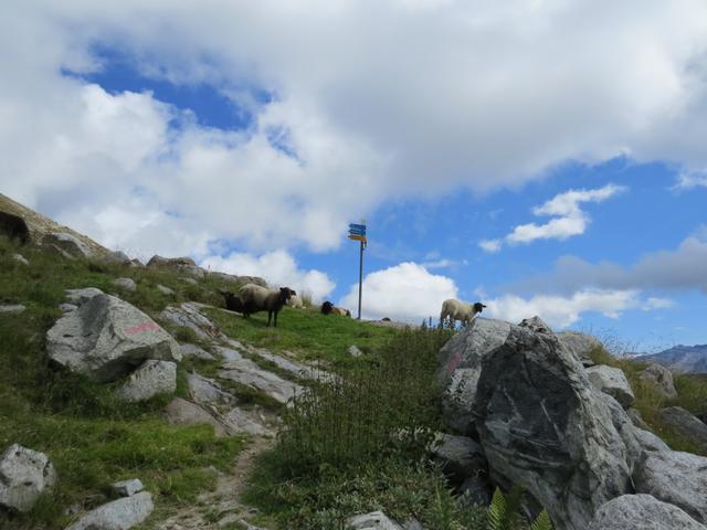 auf dem Weg zur Lochegga