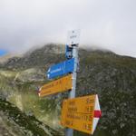 Punkt 2228 m.ü.M. auf der Lochegga