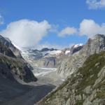 sehr schöner Ausblick auf den Oberaletschgletscher der leider fast ganz mit Schutt überdeckt ist