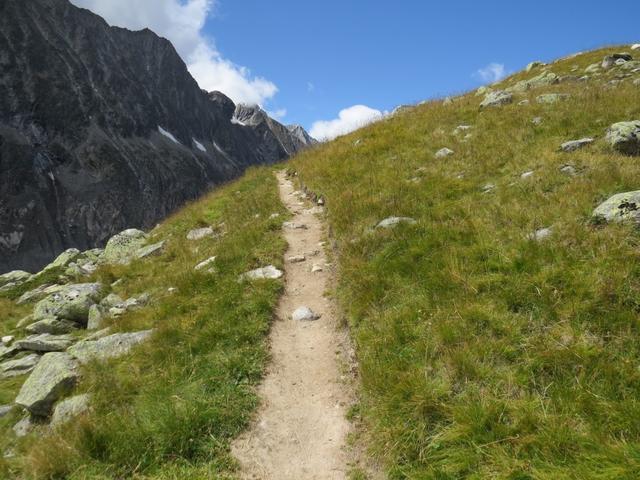 bei Punkt 2407 m.ü.M. durchqueren wir zum letzten mal für heute grüne Matten