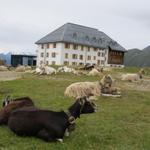 wir haben das Hotel Belalp erreicht