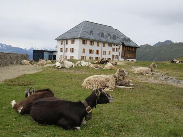 wir haben das Hotel Belalp erreicht