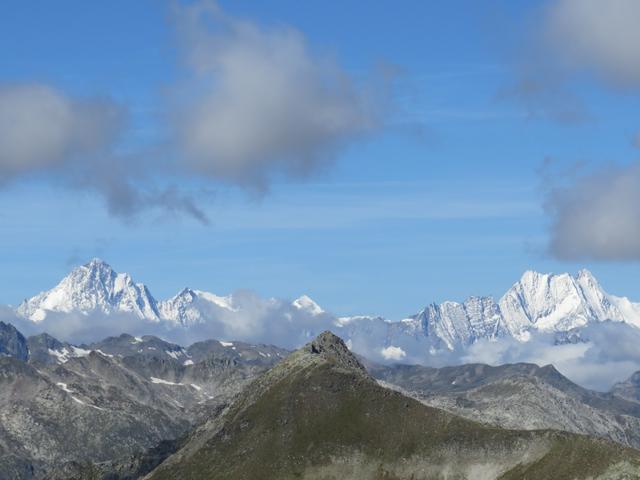 Blick in die Berner Alpen
