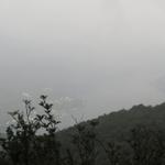 schade das die Sicht nicht so schön ist. Blick auf den Lago di Lugano