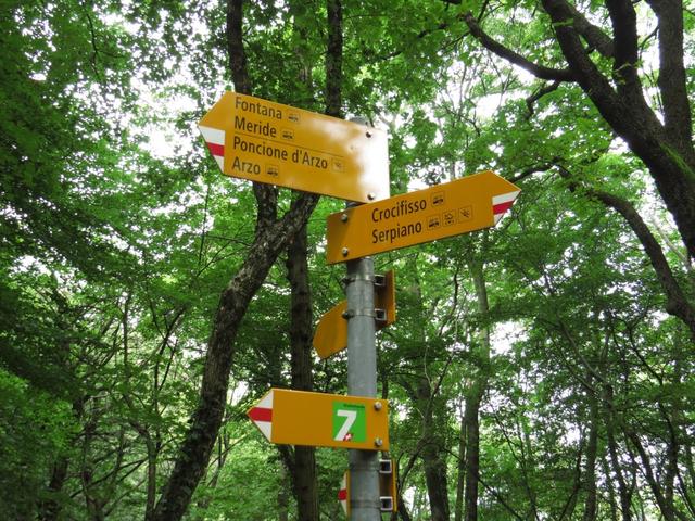 beim Wegweiser Crocifisso 670 m.ü.M. überquerten wir die Strasse Meride - Serpiano