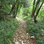 wir nehmen den Wanderweg nicht über Serpiano sondern laufen in das Val Porina