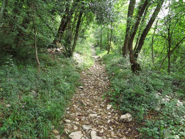 wir nehmen den Wanderweg nicht über Serpiano sondern laufen in das Val Porina