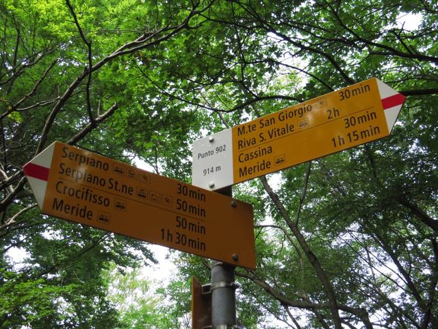 Wegweiser bei Punkt 914 m.ü.M. hier stossen wir auf den Wanderweg der von Serpiano her kommt