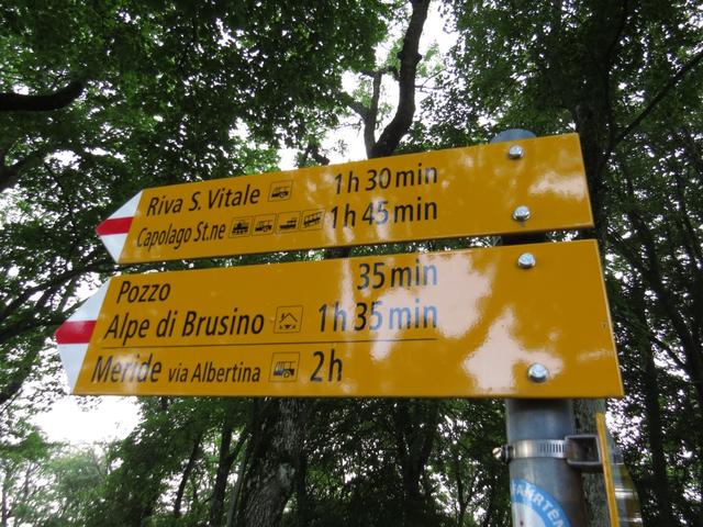 Wegweiser auf dem Monte San Giorgio 1096 m.ü.M.