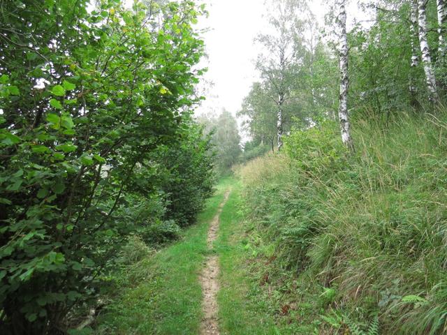 der Weg ist immer gut ersichtlich aber ohne Markierungen