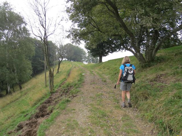 wir wandern weiter auf diesem schönen Höhenzug Richtung Punkt 908 m.ü.M.