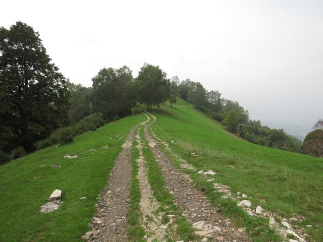 bei Punkt 1065 m.ü.M. senkt sich der Höhenzug und wir tauchen in den Wald hinein