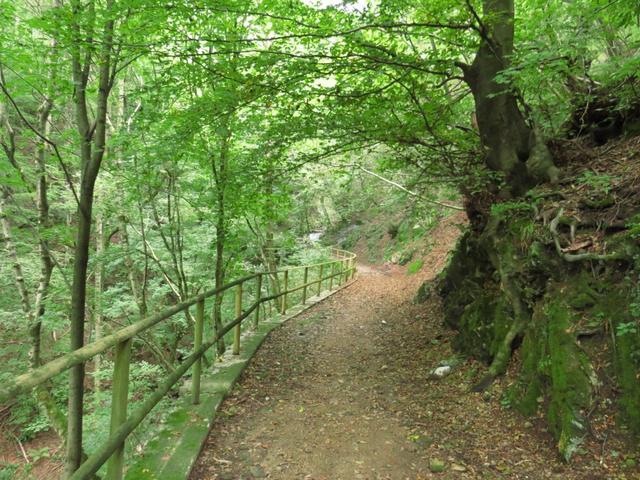 eine schöne Wanderung geht langsam zu Ende. Wir befinden uns kurz vor Bruzella