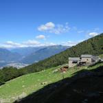 wir haben die Kapelle von Sant' Anna hinter uns gelassen und sind zur Alpe Cedullo gewandert