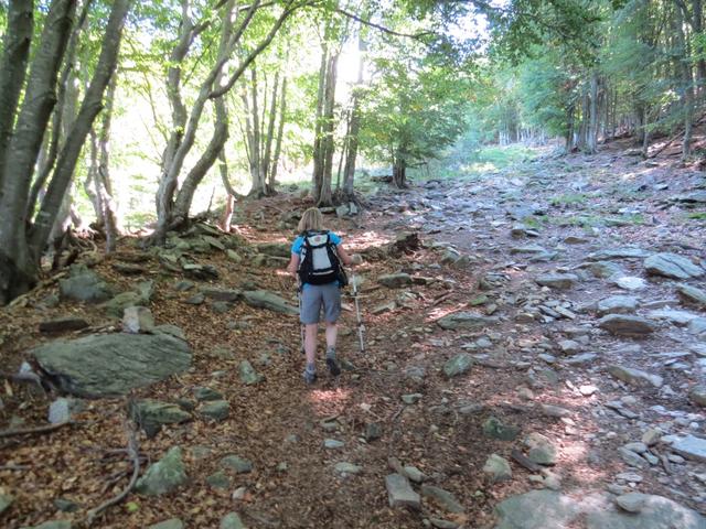 sofort nach der Alpe Cedullo biegt der Wanderweg rechts ab. Wegmarkierungen sind keine vorhanden