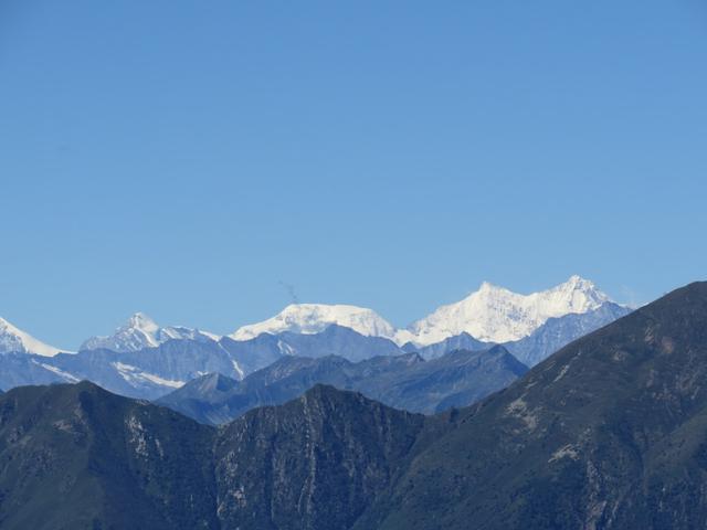 Blick auf das Allalinhorn, Alphubel, Täschhorn und Dom