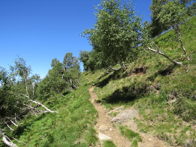weiter geht unsere super schöne Wanderung