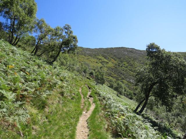 in grossen Schlaufen führt der aussichtsreiche Wanderweg nun weiter aufwärts