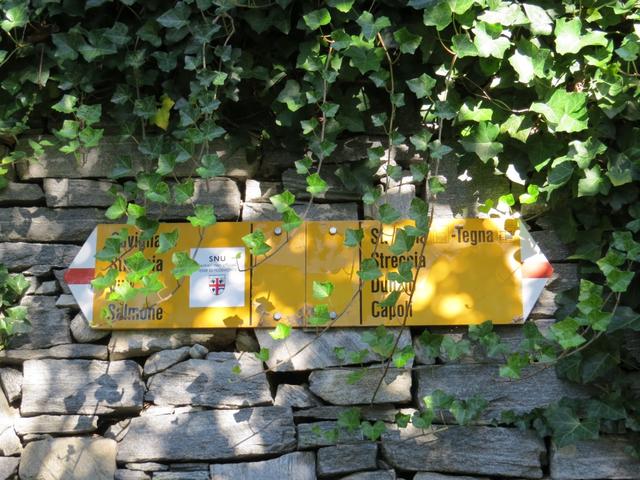 unser heutiges Ziel der Wanderung ist der Salmone