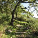 die wilde Natur im Tessin ist einfach sehr schön